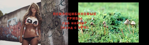 spice Бугульма