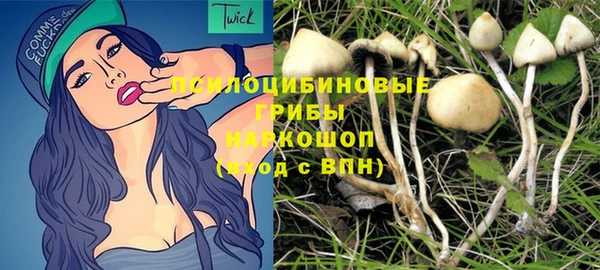 spice Бугульма