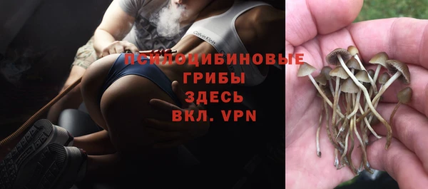 spice Бугульма