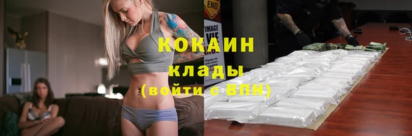 гидропоника Богданович