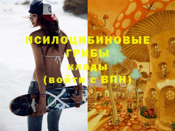 spice Бугульма