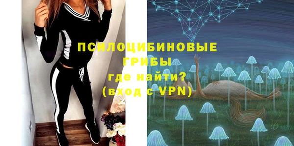 герыч Бронницы