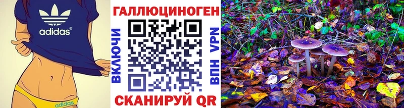 Псилоцибиновые грибы ЛСД  где продают наркотики  Данилов 